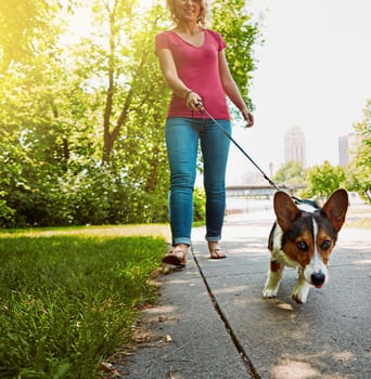 Taking the right steps towards a healthy and happy pet. an attractive young woman walking her dog in the park