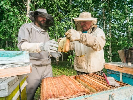 Beekeeper removing honeycomb from beehive. Person in beekeeper suit taking honey from hive. Farmer wearing bee suit working with honeycomb in apiary. Beekeeping in countryside - organic farming