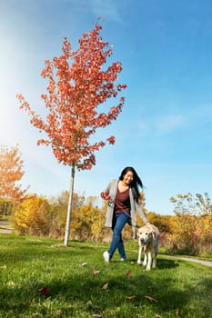 Dogs make us happier. a young woman taking her dog for a walk through the park.
