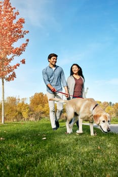 Dogs provide us with a sense of emotional wellbeing. a loving young couple taking their dog for a walk through the park.