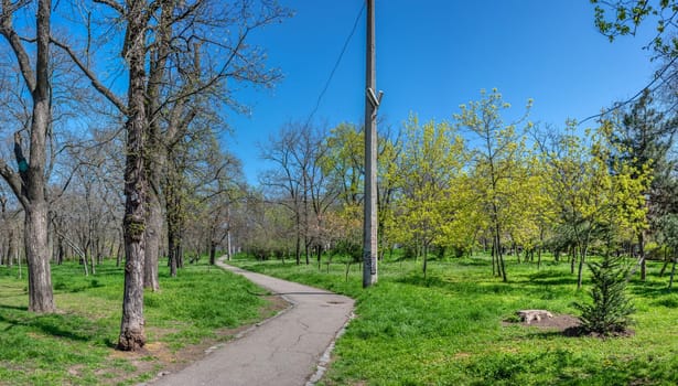 Odessa, Ukraine 18.04.2023. Taras Shevchenko public park in Odessa, Ukraine, on a sunny spring day