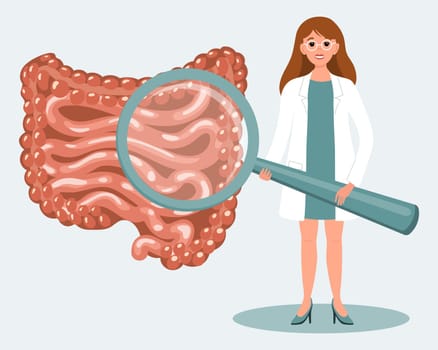 Female doctor with magnifying glass and human digestive system. Online medical diagnostics and consultations, healthcare concept. Illustration, vector