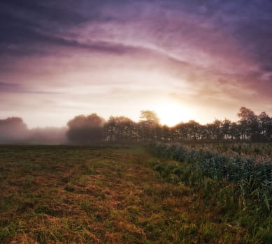 Morning breaks over a Danish meadow. The sun rising over a misty Danish meadow.