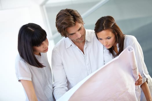 Business people, architect and reading blueprint for construction planning, layout or ideas at the office. Group of contractors looking at floor plan or building paperwork for industrial architecture