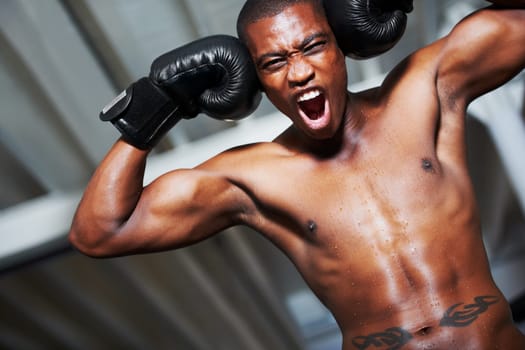 Amping himself up. An african-american boxer with his fists against his head amping himself up for a fight.