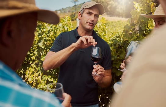 Farmer talking and explaining to diverse group of friends while holding wineglass of red wine on farm. People standing together with alcohol for tasting during summer on vineyard. Weekend wine tastin