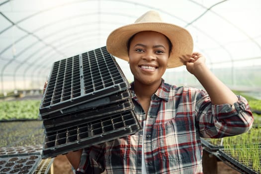 Happy farmer carrying empty trays. African american farmer working in a greenhouse. Young farmer cultivating seedlings. Portrait of happy farmer in her garden. Portrait of confident farmer
