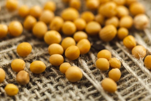Mustard seeds as a high detailed close-up. Selective focus