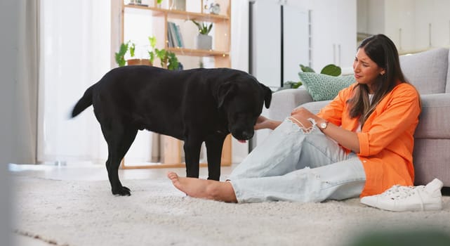 Woman, sad and dog in a home with pet owner love, support and sadness feeling relax. Dogs scratch, young female care and sad person sitting on a living room floor in a house with a animal