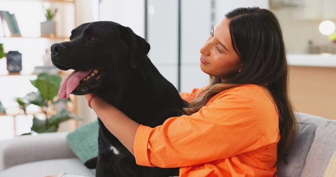 Woman, dog sitting on sofa in living room and fun, love and happy friendship with pets at home. Friends, quality time with pet and happiness, relax and petting animal on couch. Caring for pet.