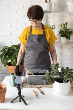 Female blogger sits in front of smartphone camera on tripod records instructional tutorial video for her blog shoots process of replanting flowers and green plants full of soil enjoys botanic hobby