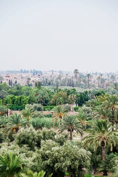 Aerial panoramic view of of marrakech city , morocco