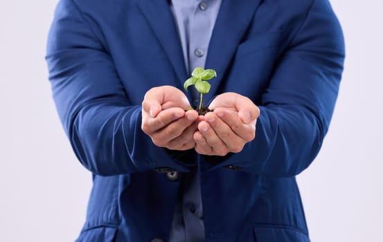 Plant in man hands in business growth isolated on white background sustainability or eco friendly investment. Sapling soil, palm and sustainable development, sustainability or green startup in studio
