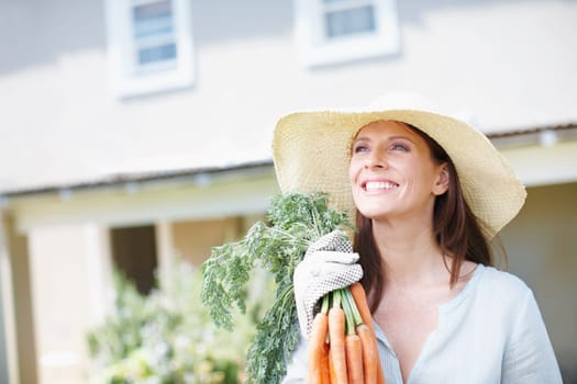 Fresh and natural goodness. A beautiful woman holds a bunch of carrots in her garden.