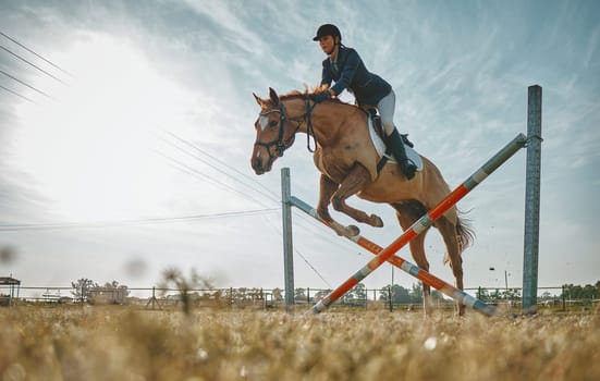 Training, jump and woman on a horse for a course, event or show on a field in Norway. Equestrian, jumping and girl doing a horseback riding obstacle during a jockey race, hobby or sport in nature.