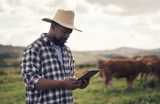 Livestock management made so much easier with smart tech. a mature man using a digital tablet while working on a cow farm.
