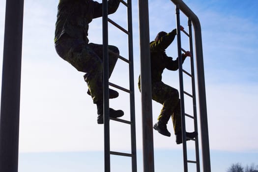 Soldier in training, military men and climbing a ladder in obstacle course for fitness and endurance. Army team in camouflage uniform outdoor, train for war and exercise with mission and action