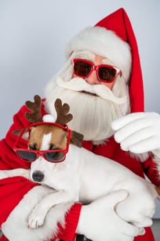Portrait of santa claus in sunglasses and dog jack russell terrier in rudolf reindeer ears on a white background.