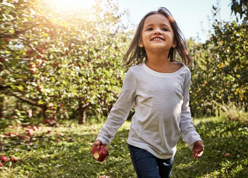 So much fun on an apple farm. an adorable little girl having fun in an apple orchard.