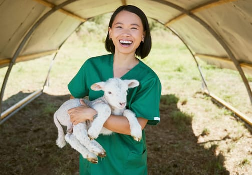 Portrait, vet and animal on farm for livestock inspection, animal care and environment check up in countryside. Agriculture, veterinarian and woman with a lamb for farming check up, happy and smile