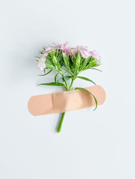 Pink flower with plaster. Conceptual image healthy