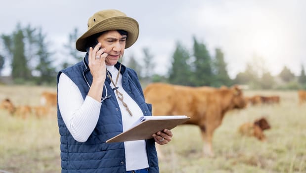 Farm, veterinary and woman on a phone call with clipboard for inspection, healthcare and cow wellness. Agriculture, communication and senior vet working in countryside, cattle farming and livestock