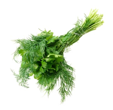 A bunch of parsley and dill on a white isolated background