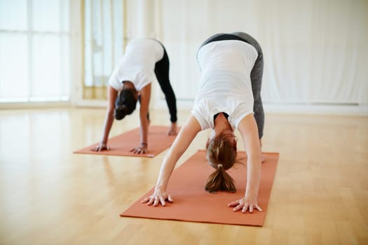Improving their flexibility through yoga. two women doing yoga together in a studio.