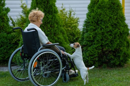 Happy senior woman in wheelchair rejoices walking with dog outdoors.