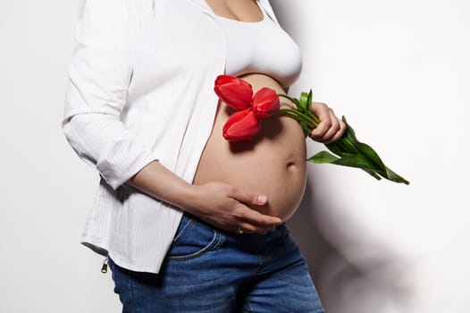 Close-up pregnant belly with stretch marks of a gravid woman, expectant mother posing with red tulips on isolated white