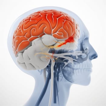 medicine brain anatomy red head pain medical x-ray blue headache. Generative AI.