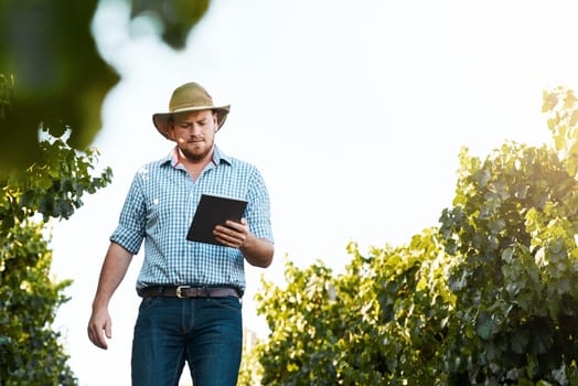 Innovation is at the heart of agriculture. a farmer using a digital tablet working in a vineyard.