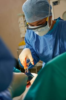 Steady hands and unwavering concentration are key. a team of surgeons performing a surgery in an operating room.