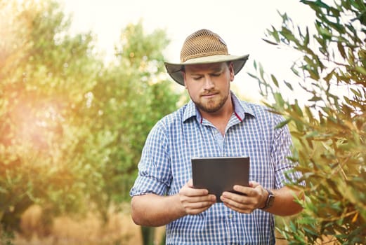 Staying informed of the best economic options to maximize profitability. a farmer using a digital tablet while doing his rounds.