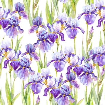 Summer meadow iris flowers watercolor seamless pattern on white background