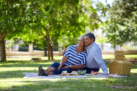 This is where our love story started. a loving senior couple enjoying a leisurely picnic in the park.