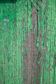 Wood texture with green flaked paint. Peeling paint on weathered wood