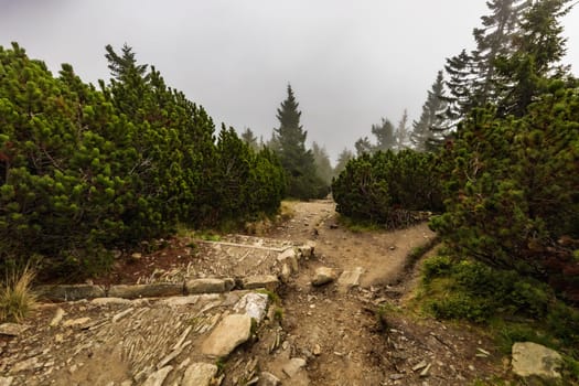 Long stony mountain trail over Sniezka mountain in Giant mountains with beautiful cloudy green landscape around