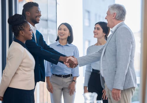 Hand shake, acquisition and business people happy for investment deal, b2b contract or negotiation agreement. Diversity human resources, hiring welcome or administration job interview with HR manager