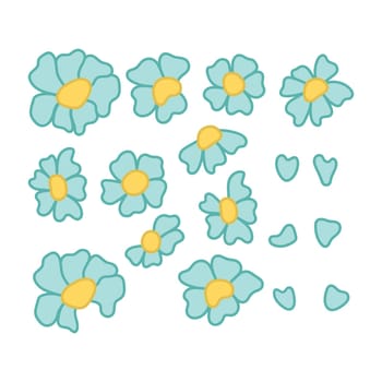Set of blue flowers. Blue chamomile flower, petals