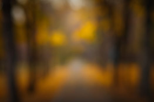 Blurred background from photo of autumn park alley at sunset