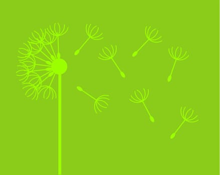 Dandelion with flying fluffs silhouette. Vector isolated.