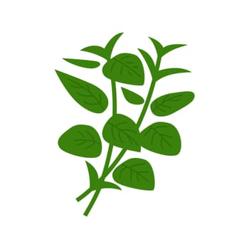 Heap of green basil. Vector illustration isolated on white.