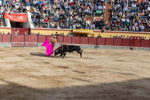 March 26, 2023 Lisbon, Portugal: Tourada - bullfighter provokes the injured bull with a bright rag