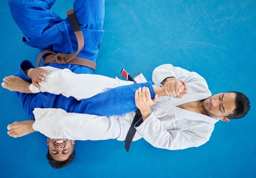 Top view, karate and men training for competition, fitness and fighting for match, wellness or health. Mma, healthy males or practice for game, martial arts and exercise for workout, power or routine