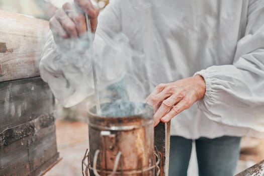 Hands, smoker fire and beekeeper on farm mix and refueling with tool. Safety, beekeeping and worker in suit preparing smoking pot or equipment to calm or relax bees, beehive or bugs for honey harvest