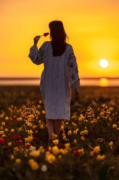 Woman back against sunset and wild tulip flowers, natural seasonal background. Multi-colored tulips Tulipa schrenkii in their natural habitat are listed in the Red Book.
