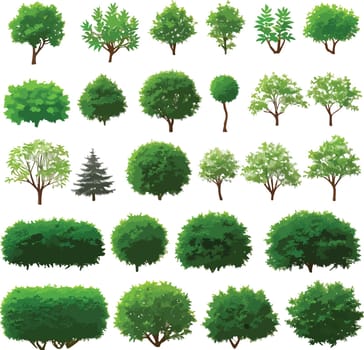 Beautiful forest trees bushes plants art vector