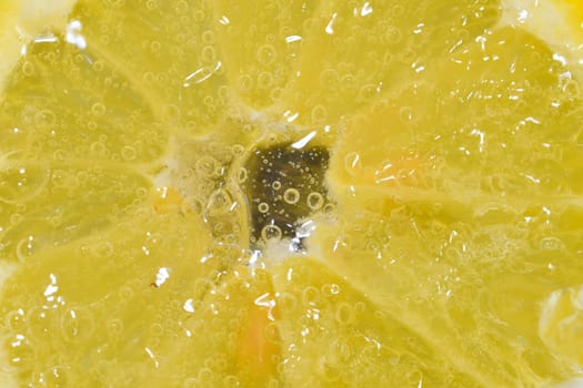 Slice of ripe lemon in water on white background. Close-up of lemon in liquid with bubbles. Slice of ripe citron in sparkling water. Macro image of fruit in carbonated water.