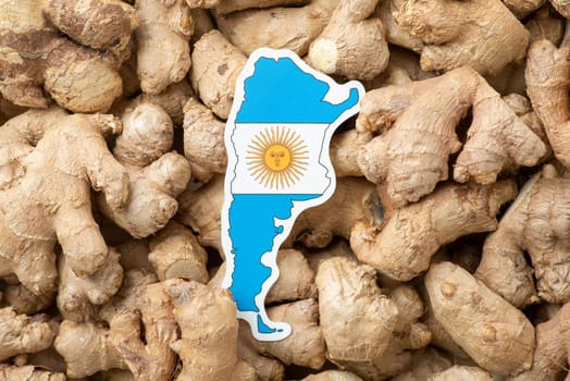 Flag of Argentina on ginger
